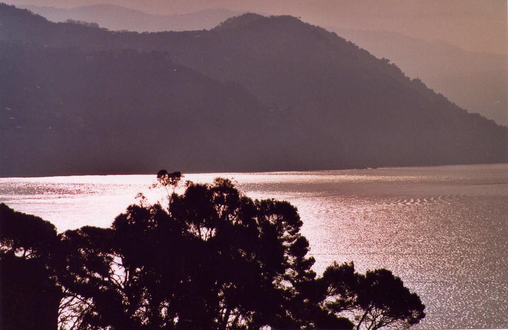 L'approdo
